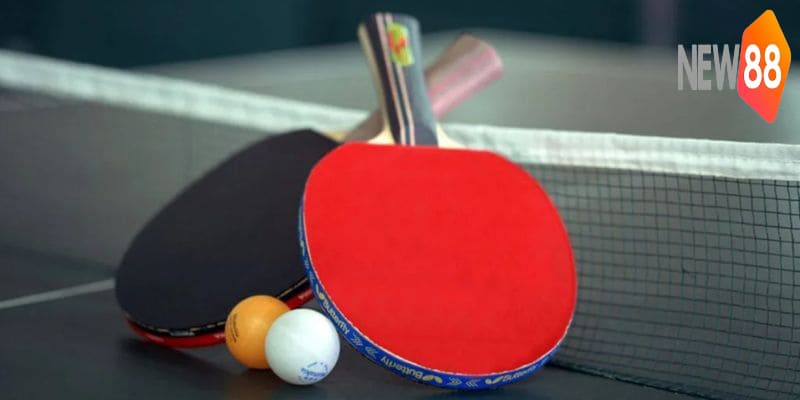 Cá Cược Bóng Bàn: Kiến Thức Chuẩn & Tips Soi Kèo Thắng Lớn